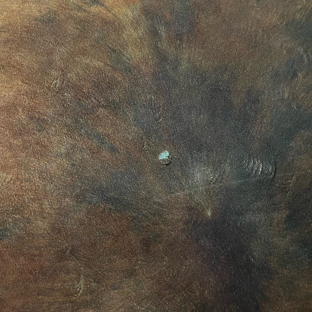 Large Cowhide Rug - Picture 3 of 4